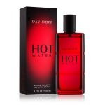 Davidoff Hot Water EDT 110ml